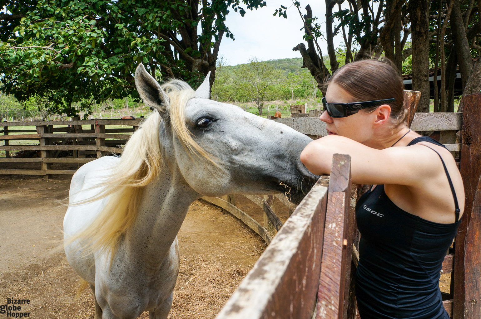 Horses of Rancho Chilamate, San Juan Del Sur, Nicaragua