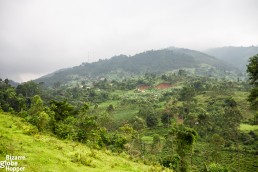 Sceneries from Batwa house to the hills of Bwindi Impenetrable Forest, Uganda