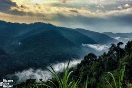 Sun sets with the mists hanging low, in Bwindi Impenerable Forest National Park in Uganda.