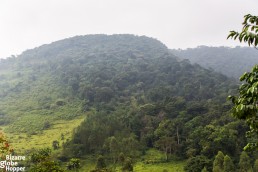 The scenery of Bwindi Impenetrable Forest National Park in Uganda.