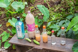 The different stages of banana gin, Waragi, in Bwindi Impenetrable Forest National Park, Uganda