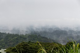 Hanging mists in Queen Elizabeth National Park in Uganda