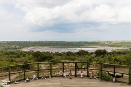 Kasenyi Safari Camp in Queen Eizabeth National Park, Uganda