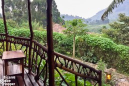 Mahogany Springs, our porch view, Bwindi Impenetrable Forest National Park, Uganda