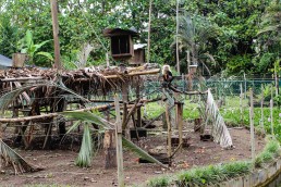 Monkey area at the Tree of Life wildlife sanctuary in Cahuita, Costa Rica