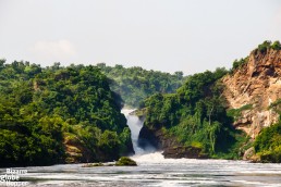 The Murchison Falls itself in the National Park, Uganda