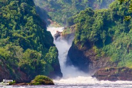 The Murchison Falls itself, Uganda