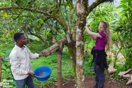 Niina trying to grind coffee with the Batwa grinder in Bwindi Impenetrable Forest, Uganda