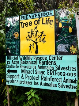 The sign of the Tree of Life wildlife sanctuary in Cahuita, Costa Rica