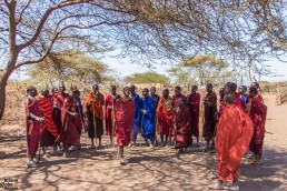 The welcome dance of the Maasai in the Ngorongoro, Tanzania