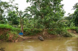 A traditional Rama canoe Reserva Biológica Indio Maíz, Nicaragua