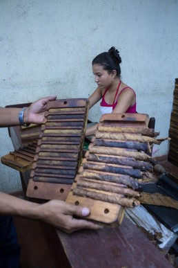 cigars in the making in esteli, nicaragua