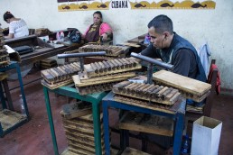 workers in GGI cigar factory esteli nicaragua