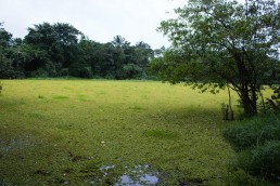 Blue lagoon, San Juan de NIcaragua, San Juan del Norte, Greytown Nicaragua