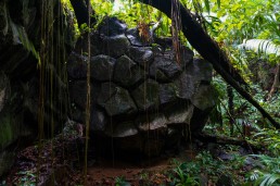 Canta Gallo Rama Indian pyramids deep in the Indio Maiz jungle