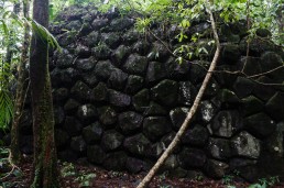 Ancient Rama Wall, Canta Gallo, Indio Maiz