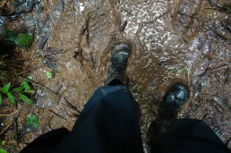 Hiking and getting muddy in Indio Maiz reserve