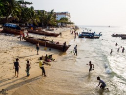 Dhows returning to the shore of Forodhani Gardens, Stone Town, Zanzibar