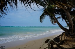 Paradise beach in Little Corn Island, Nicaragua