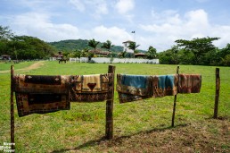 Rancho Chilamate, San Juan Del Sur, Nicaragua