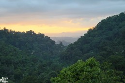 View from La Bastilla Coffee Farm towards Jinotega at sunset, Nicaragua