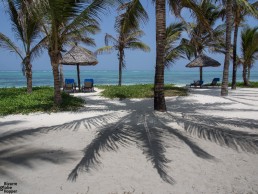 The paradise beach in front of Baraza Resort & Spa, Zanzibar