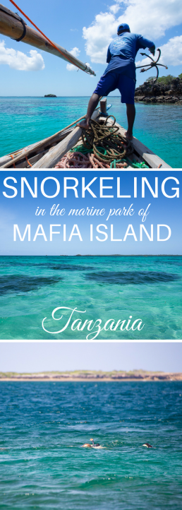 Tanzania's Mafia Island offers world-class snorkeling and diving. Diversity and reefs are among the best in the Indian Ocean. #Tanzania #MafiaIsland #snorkeling