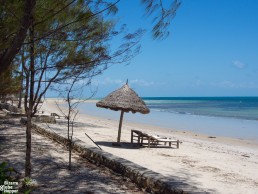 The beach in front of Butiama Beach villas, Mafia Island, Tanzania