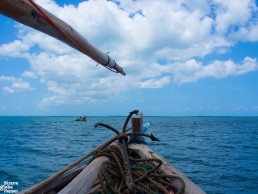 Sailing with a tradional dhow in Chole Bay, Mafia Island, Tanzania