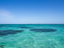 Snorkeling in Chole Wall, Mafia Island Marine Park, Tanzania