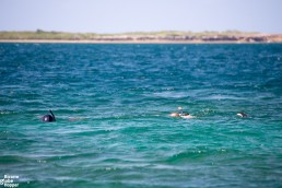 Snorkeling at Kinasi Pass Islets, Mafia Island