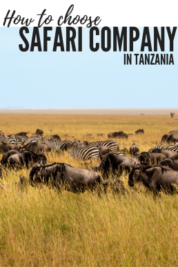 Safari in Tanzania should be the trip of a lifetime. Choose your safari company wisely to get the best out of the national parks!