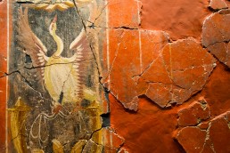 Roman Mural in Casa de la Fortuna Museum, Cartagena