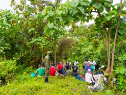 The first break of our Nyiragongo trek after one hour's hike