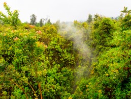 Smoking fissure from the Nyiragongo 2002 eruption, Congo DR