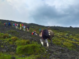 The steep last leg of the Nyiragongo volcano trek-