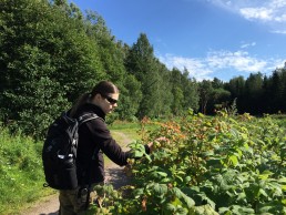 Piritta picking wild raspberries in the central park of Helsinki