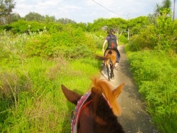 Horseback riding in Gili Meno, Indonesia