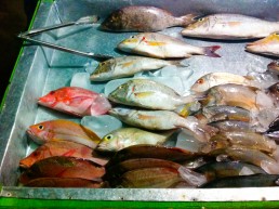 The fish at Gili Trawagan's night food market