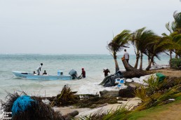 Fighting against erosion, Little Corn Island, Nicaragua