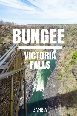 Jump from the epic Victoria Falls Bridge and free fall 110 meters towards the crocodile-infested Zambezi River!