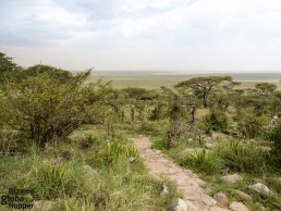 Naabi Hill viewpoint with a stunning panorama to the endless plains of Serengeti