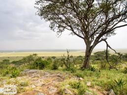 Naabi Hill lookout upon the plains of Serengeti