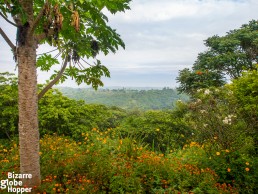 View from Ndali Lodge towards Rwenzori mountains