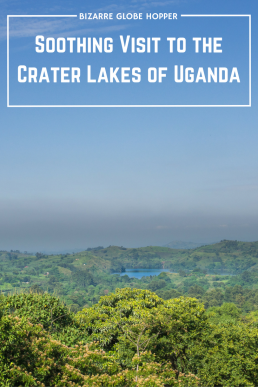 The photogenic explosion craters rhythm the rolling hills of Uganda. Some craters are flooded with unbelievably clear water; the others are vegetated and even cultivated.