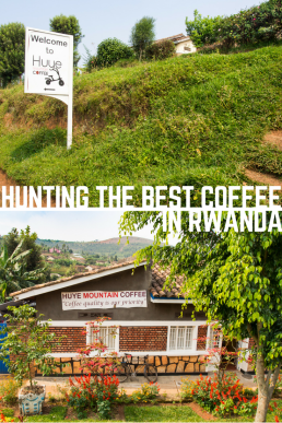 Smell out the best coffee beans in Rwanda!