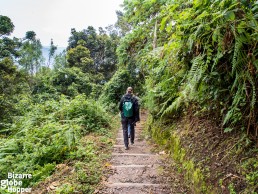Hiking Igishigishiki trail in Nyungwe Forest National Park