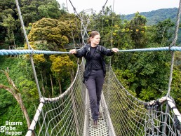 Piritta walking on Nyungwe Forest canopy walkway, Rwanda