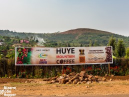 Visit single origin specialty coffee farm in Rwandan mountains