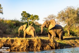 Wildlife watching from a canoe in Lower Zambezi National Park